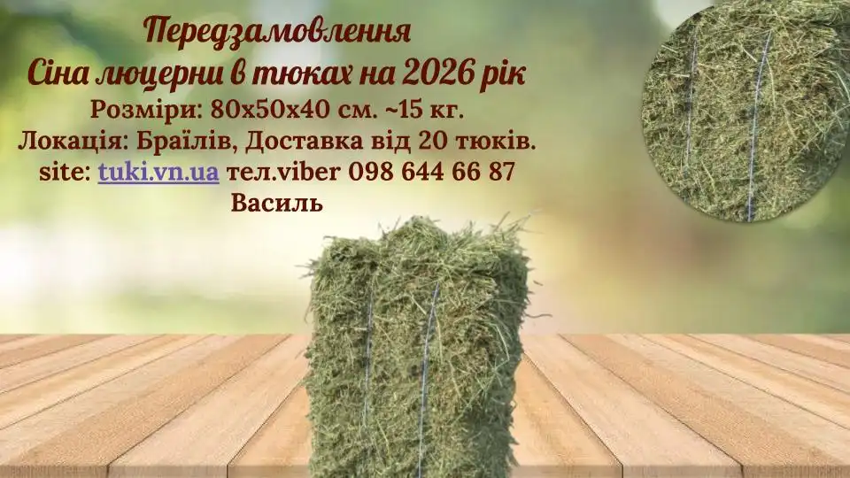 Сіно люцерна в прямокутних тюках